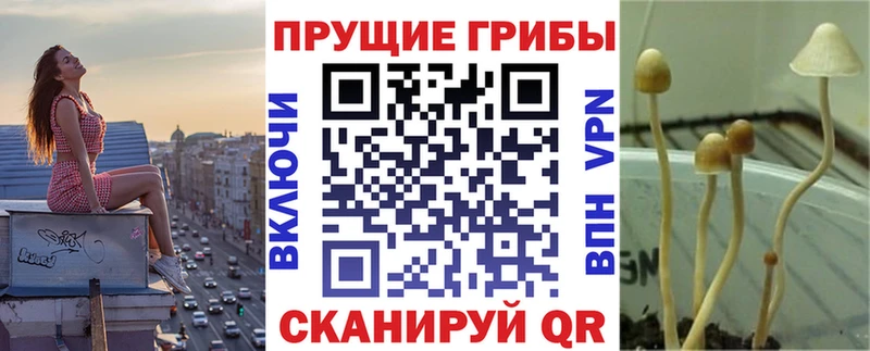Псилоцибиновые грибы GOLDEN TEACHER  Джанкой 