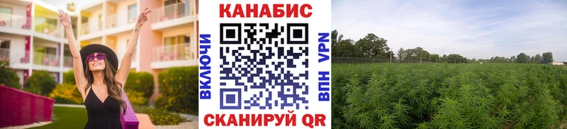 даркнет сайт  Джанкой  МАРИХУАНА SATIVA & INDICA 